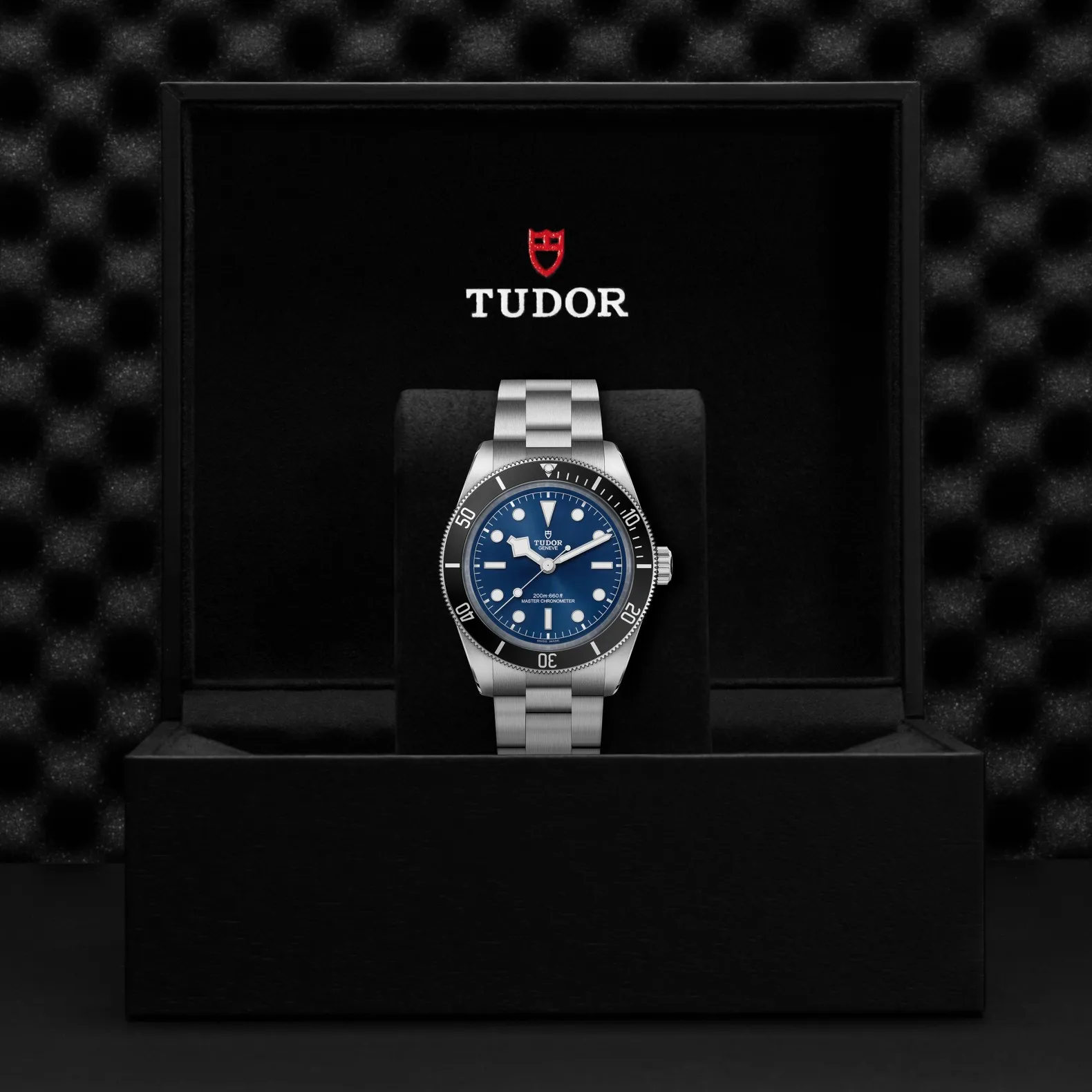 Tudor